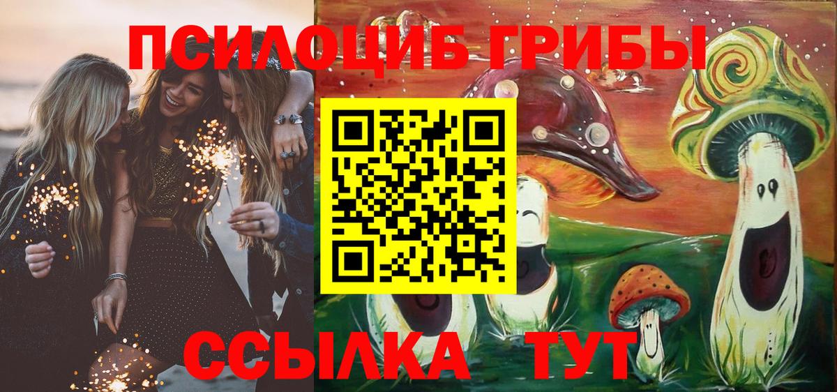 Галлюциногенные грибы Psilocybine cubensis  Вход с VPN  Кольчугино 