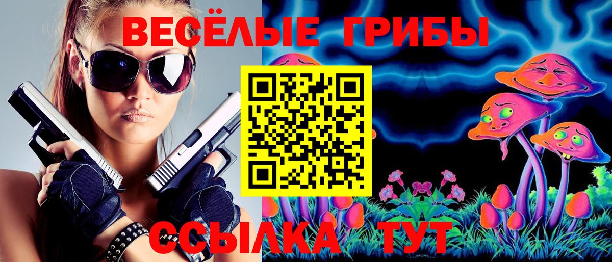 Галлюциногенные грибы ЛСД Кольчугино